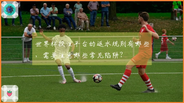 世界杯投注平台的返水规则有哪些，需要注意哪些常见陷阱？