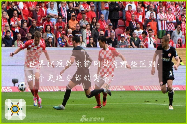 世界杯冠军竞猜网站有哪些区别，哪个更适合你的需求？