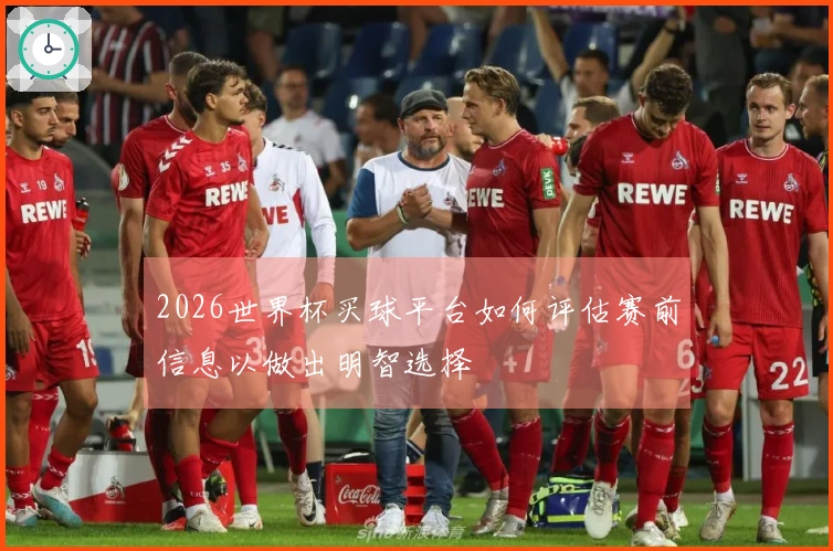 2026世界杯买球平台如何评估赛前信息以做出明智选择
