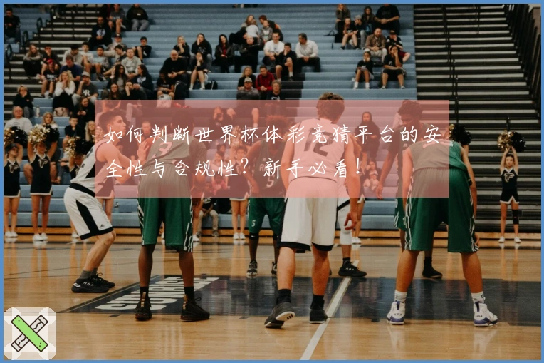 如何判断世界杯体彩竞猜平台的安全性与合规性？新手必看！
