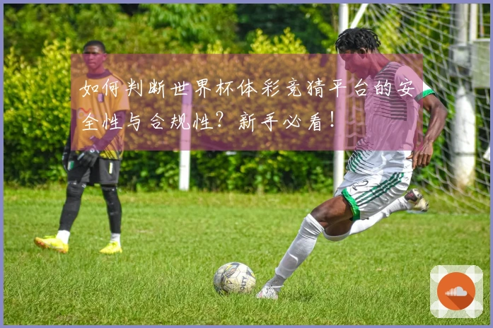 如何判断世界杯体彩竞猜平台的安全性与合规性？新手必看！