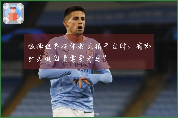 选择世界杯体彩竞猜平台时，有哪些关键因素需要考虑？